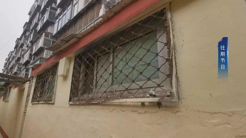 問政提前探 石棉制品廠宿舍自建小院阻礙施工，設計單位無奈應對