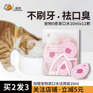 寵物食品用品 科學喂養與貼心照護的智慧選擇